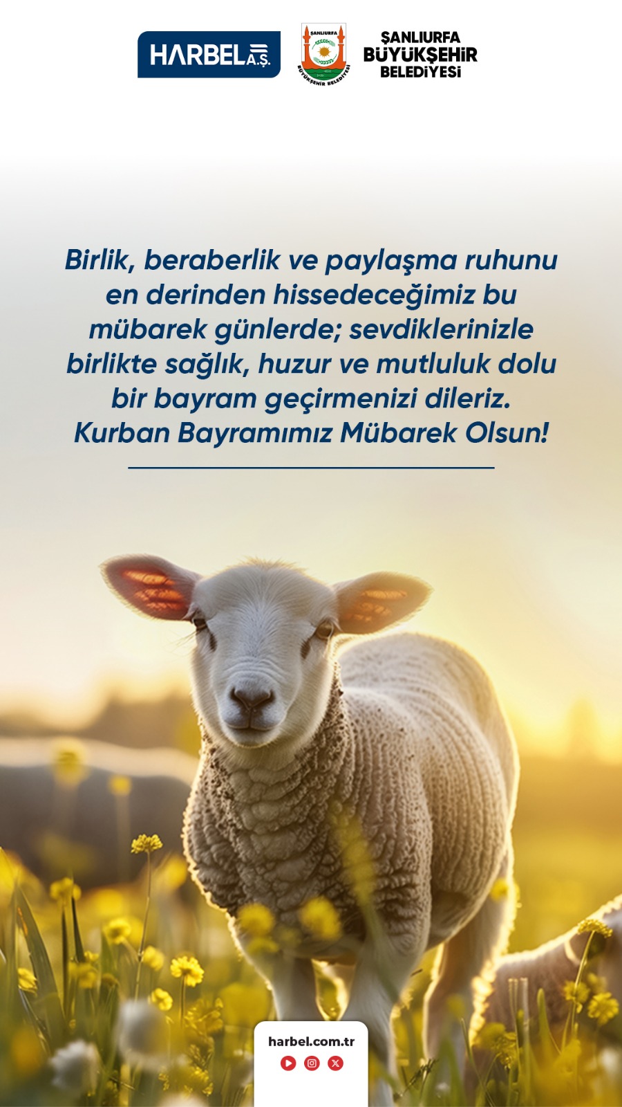 Kurban Bayramımız Mübarek Olsun!